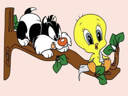 bb titi et gros minet