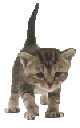 mimiss