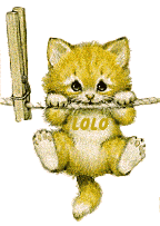 chaton