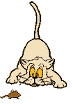chat