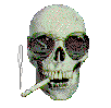tete de mort 
